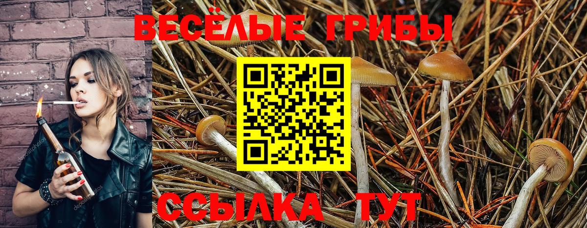 Псилоцибиновые грибы ЛСД Чернушка